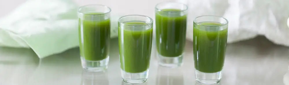 Jugo Verde