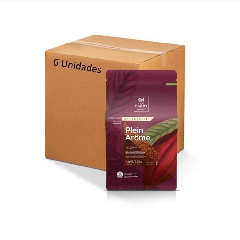 Caja-cacao-polvo-6-unidades-de-1-kilogramo-Marca-Callebaut