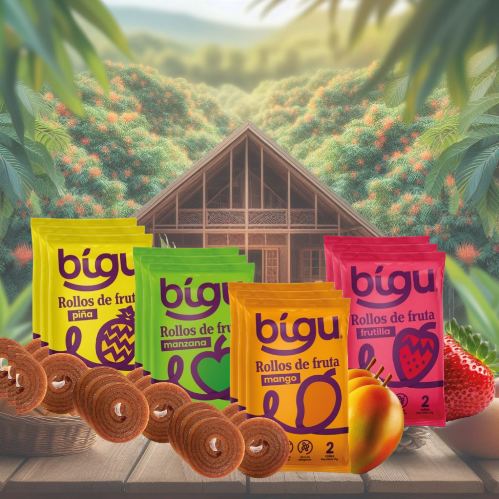 Pack Bigu mix sabores, 12 unidades, gomitas de fruta deshidratada.