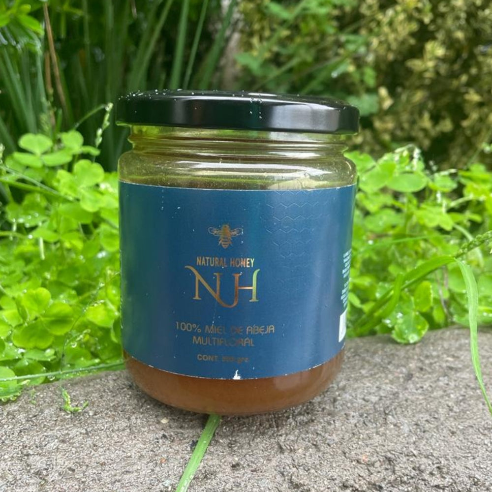 Miel 100% de Abeja Multifloral 500g Natural Honey