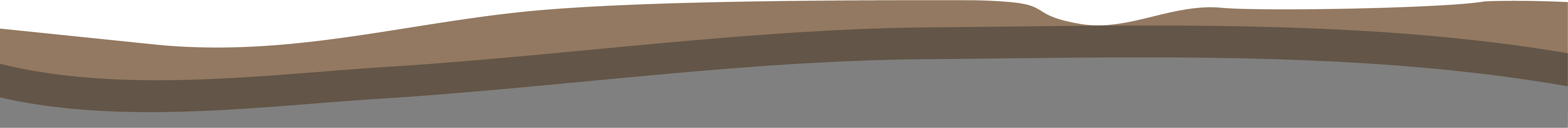 BeROOTS